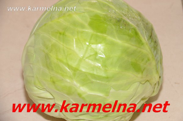 خضار وفواكة ربيع ابو الزلف